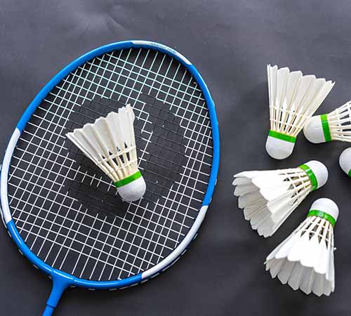 迷和队友的 迷和队友的