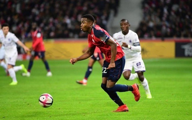 全和谐的社 全和谐的社